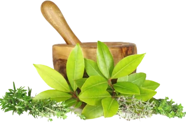 1766381577904_What_Are_Herbal_Products_SHMFin3W4